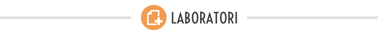 Laboratori